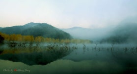 커뮤니티 > 포토갤러리 > 가을이 오면...