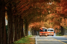 커뮤니티 > 포토갤러리 > 모래재