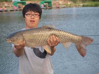 유료터정보 > 유료터점주조황 > 매전낚시터에 대물초어!(90cm)