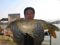 유료터정보 > 유료터점주조황 > [신애낚시터] 눈맛 찌맛 손맛 꼬리표까지^^*