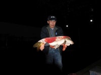 유료터정보 > 유료터점주조황 > 매전낚시터 하우스에서 대물잉어 출현!!