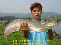 유료터정보 > 유료터점주조황 > [신애낚시터]에어컨 필요하세요?