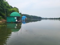 유료터정보 > 유료터점주조황 > 당진 가교리 낚시터 6월 13일 조황입니다