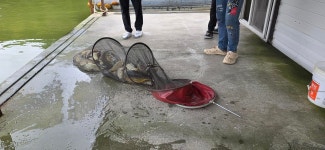 유료터정보 > 유료터점주조황 > 공주 고성 낚시터입니다.