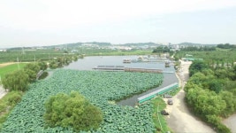 유료터정보 > 유료터점주조황 > 석곡 낚시터 전경입니다