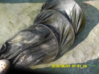 유료터정보 > 유료터점주조황 > 경주동산낚시터