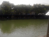 유료터정보 > 유료터점주조황 > 옥포낚시터