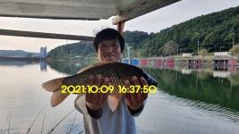 유료터정보 > 유료터점주조황 > 신원낚시터[10월18일]토종44짜리와 방류소식입니다~~