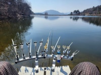 커뮤니티 > 자유게시판 > 가는날이 장날