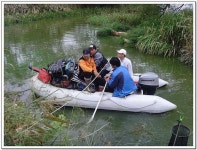 커뮤니티 > 자유게시판 > 아마죤에서의 탐사낚시 2탄