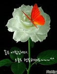 커뮤니티 > 자유게시판 > 화요일 출석부 열어요