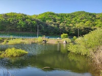 커뮤니티 > 자유게시판 > 출석합니다.