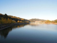 커뮤니티 > 자유게시판 > 며칠전.......