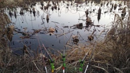 커뮤니티 > 자유게시판 > 요며칠