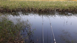 커뮤니티 > 자유게시판 > 어제는