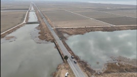 조황조행기 > 화보조행기 > 인생 첫 호남권 붕어낚시 - 영암호 망산리권