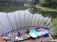 낚싯대포럼 > 천류 > 강포 - 운명