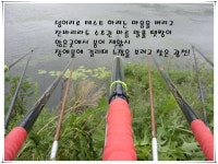 낚싯대포럼 > 기타 > 오메가 슈페리어 초경 최종평가 2편