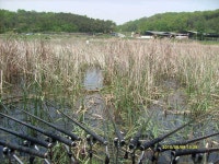 조황/조행기 > 습작 조행기 > 현풍 사베지