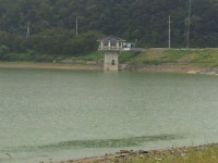 낚시터가는길 > 조황문의 > 고복지 입니다