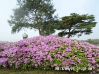 조황/조행기 > 낚시점 조황 > 탄금호낚시4짜조황