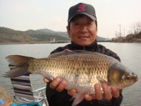 조황조행기 > 낚시점 조황 > 건천IC낚시