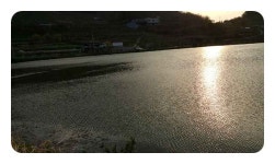 조황/조행기 > 낚시점 조황 > 창녕권 붕어조황