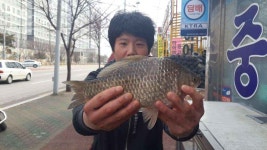 조황/조행기 > 낚시점 조황 > 경북권,구미권 2월 3주차 조황정보