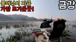 커뮤니티 > 낚시동영상 > 핫플레이스 금강!