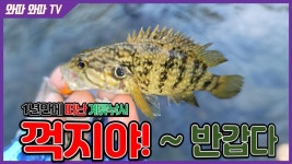커뮤니티 > 낚시동영상 > 흐르는 여울에 서서 손맛을 즐기며 ~~~~~