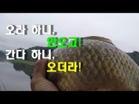 커뮤니티 > 낚시동영상 > 홍성 천태지(행정지)