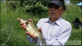 커뮤니티 > 낚시동영상 > 배수기 없는 수로 붕어들