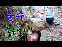 커뮤니티 > 낚시동영상 > 집에서 가까운 연밭소류지 - 258 -