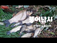커뮤니티 > 낚시동영상 > 수초밭 붕어낚시