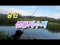 커뮤니티 > 낚시동영상 > 밤낮없이 입질하는 신동지