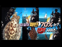 커뮤니티 > 낚시동영상 > [풍낚TV] 갑오징어낚시/대박 미친사이즈/입질의 패턴정리/갑오징어액션/처음 가본 포인트/영복1호/Cuttlefish... 