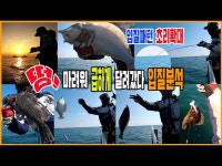 ~마려웠다/초릿대 확대를 통한 입질패턴 및 분석/쭈갑만큼 뜨거운 광어다운샷/신진도 영복1호/Flatfish Fishing