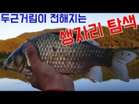 커뮤니티 > 낚시동영상 > 두근거림이 전해지는 생자리탐색