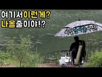 커뮤니티 > 낚시동영상 > 청주수로