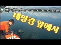 커뮤니티 > 낚시동영상 > 태양광 앞에도 붕어가 많네요~~