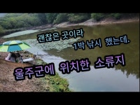 커뮤니티 > 낚시동영상 > 소류지 다시 방문
