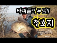 커뮤니티 > 낚시동영상 > 타짜들의무덤 청호지