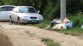 커뮤니티 > 낚시터환경개선 > 경산용성 곡란리 도로가옆 모저수지