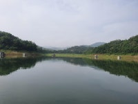 조황조행기 > 충주호조황속보 > 실리곡낚시터 허리급 조황입니다.