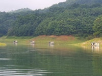 조황조행기 > 충주호조황속보 > 실리곡낚시터 입니다.