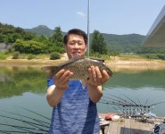 조황조행기 > 충주호조황속보 > 솔낚시터 4짜 조황소식입니다.