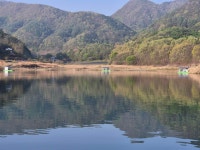 조황조행기 > 충주호조황속보 > 짱가네낚시터 조황조행기 > 충주호조황속보 > 짱가네낚시터 