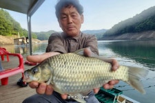 조황조행기 > 충주호조황속보 > 늘푸른 최근 속보 조황입니다