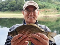 조황/조행기 > 충주호조황속보 > 청풍신리낚시터 조황입니다.