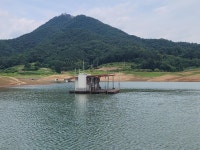 조황조행기 > 충주호조황속보 > 청풍 한버들 조황입니다